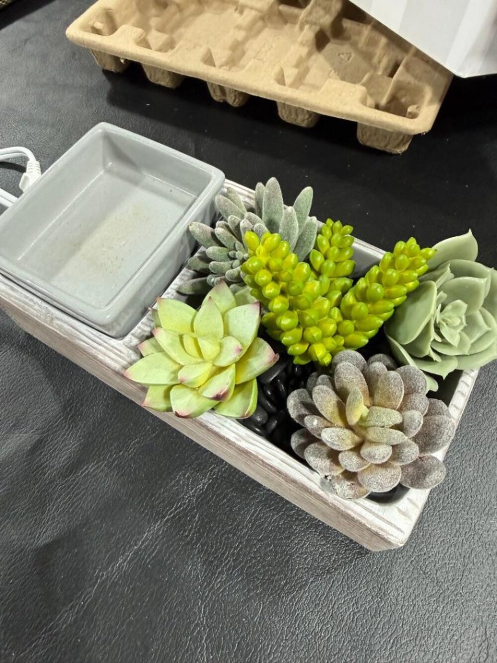 Suc-cute-lent Scentsy Warmer